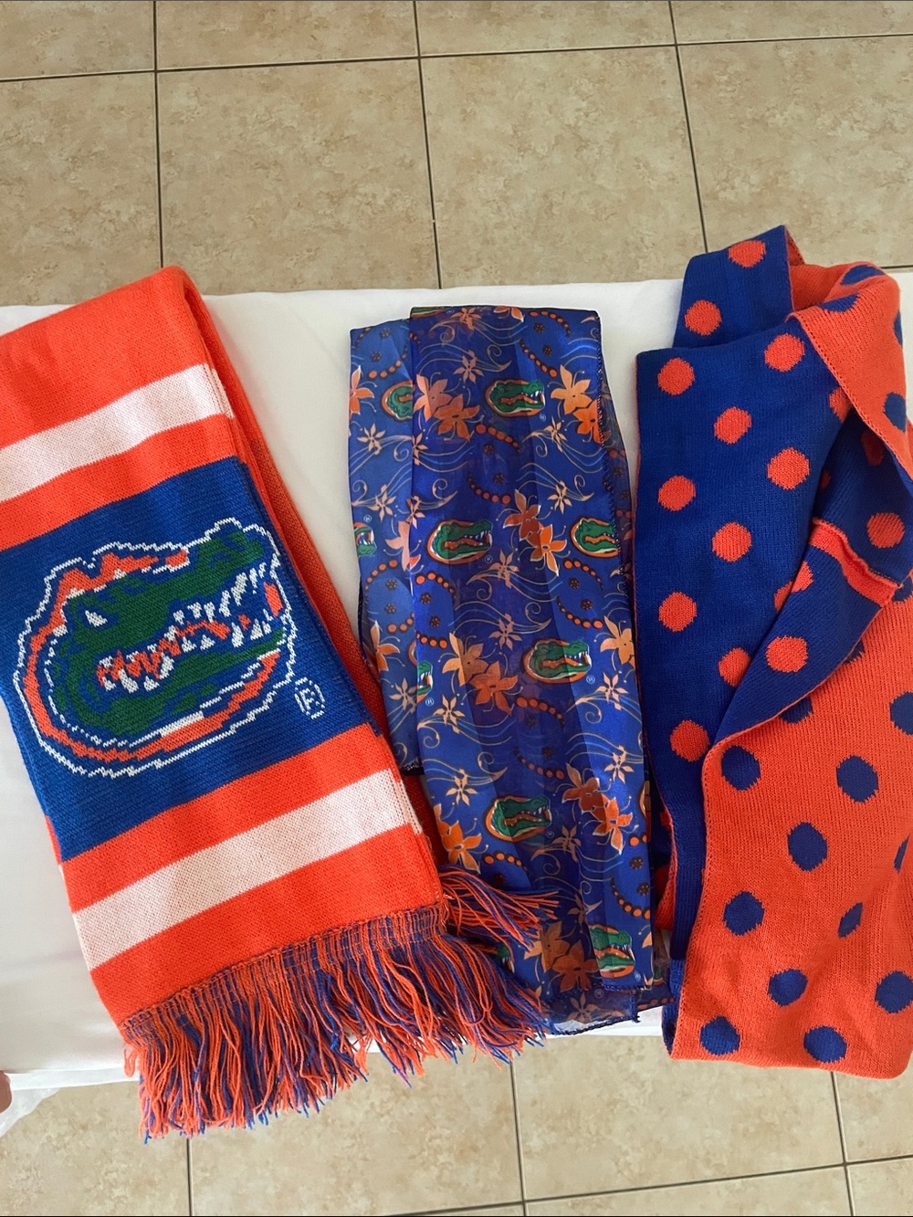University Team Orange & Blue Kids Scarf - Gators Logo